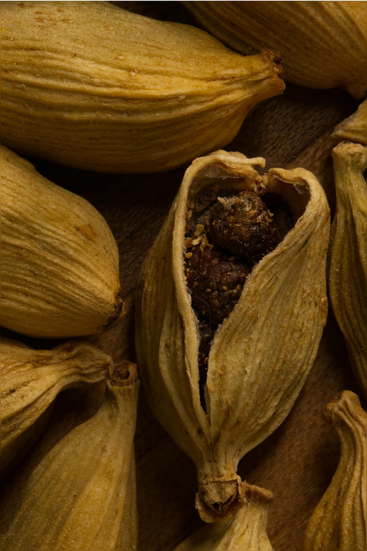 Close up of a cardamom pod